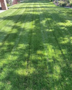 mow the lawn calgary