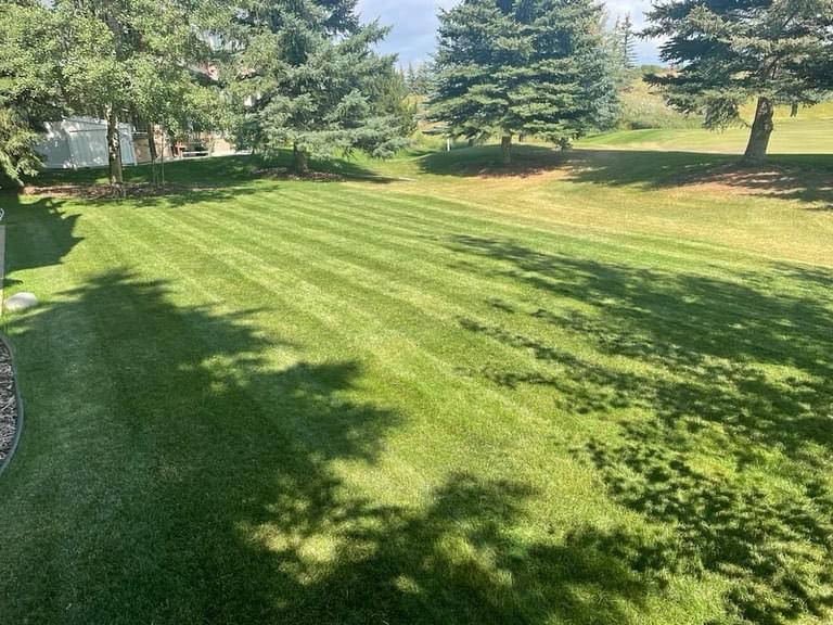 lawn services calgary