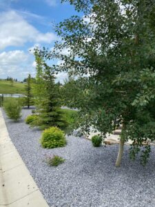 concrete cleaners for driveway Calgary