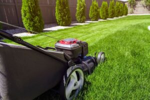 Lawn-Care-1-