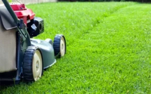 mowing-services-thumbnail