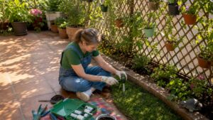 Woman testing lawn health with moisture meter