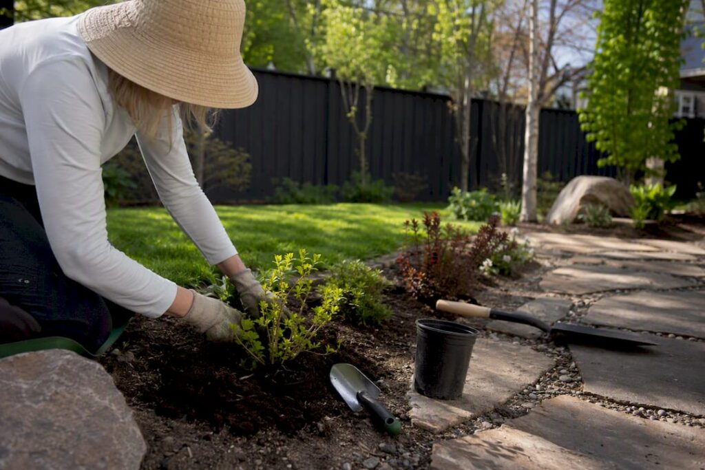 Hands planting shrubs in Calgary yard