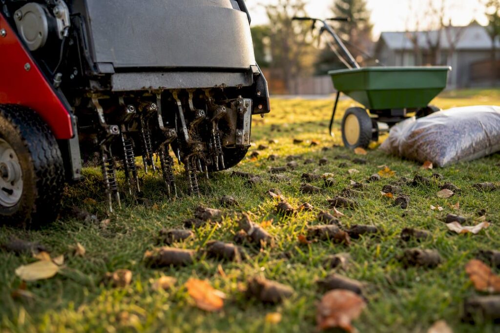 Core aeration machine on Calgary lawn with soil plugs
