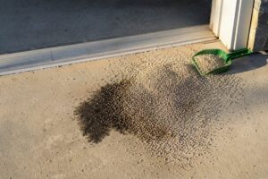 Fresh oil spill absorbed on concrete driveway