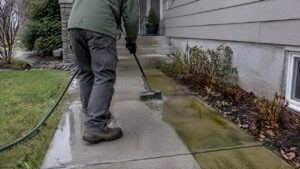 Technician removing algae from concrete walkway