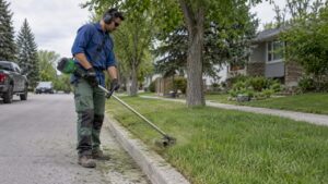 Worker string trimming Calgary boulevard grass