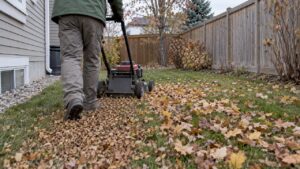 Mower chopping fallen leaves on a Calgary lawn
