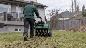 Core aerator lifts soil plugs from Calgary lawn